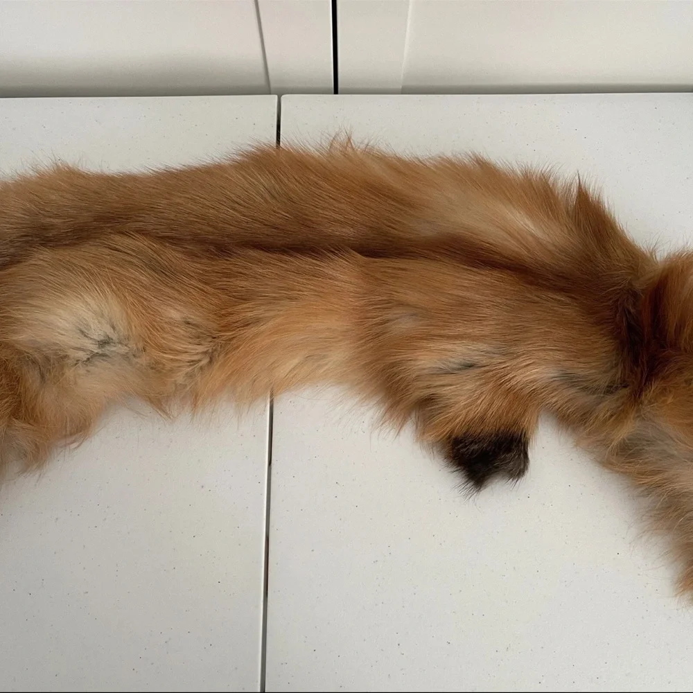 Real Red Fox Fur Pelt Hide Stole Scarf Log Cabin Decor Crafts Art Wall Hanging! - Picture 7 of 15